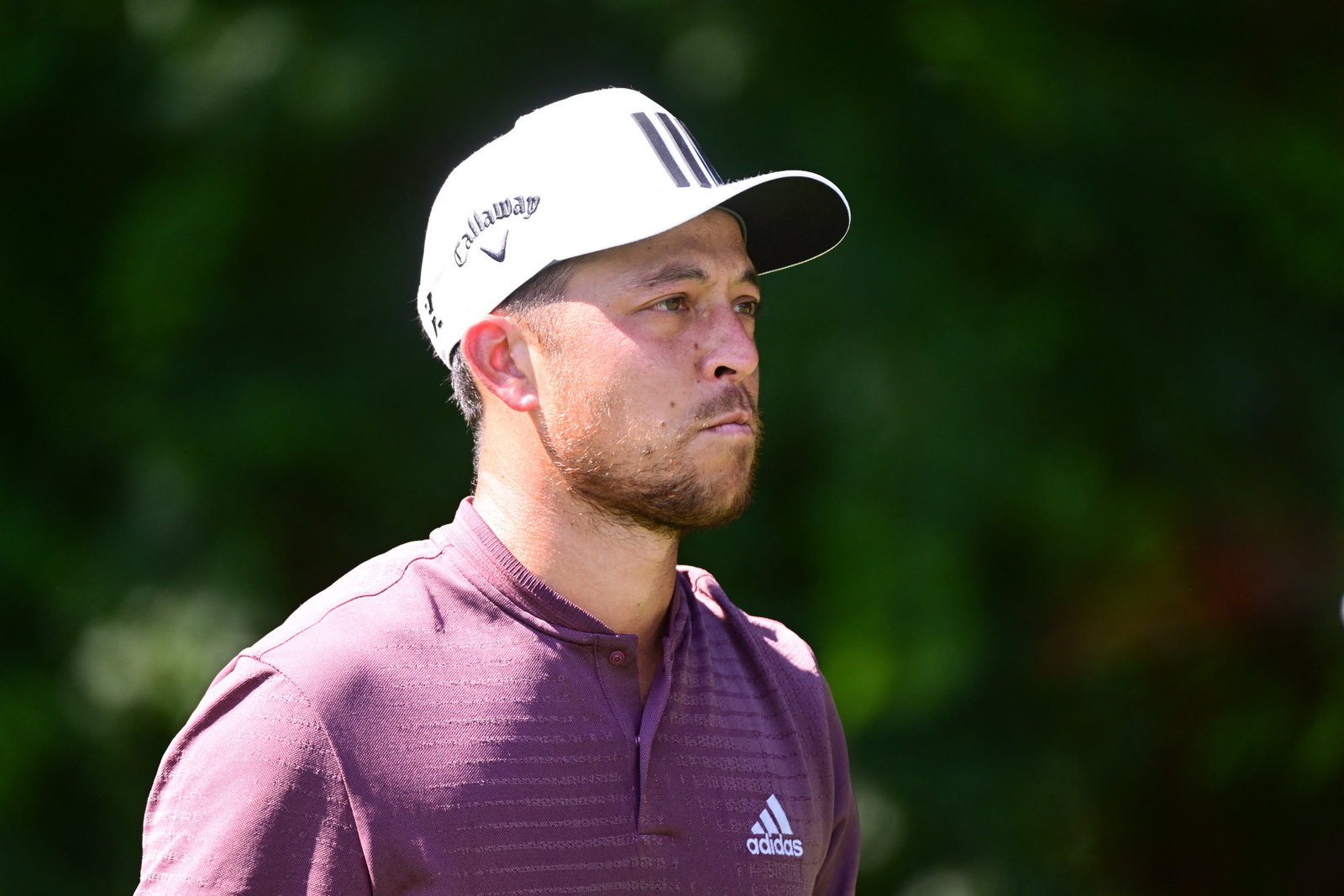 WATCH: Clueless fan picks up Xander Schauffele's golf ball at Presidents Cup